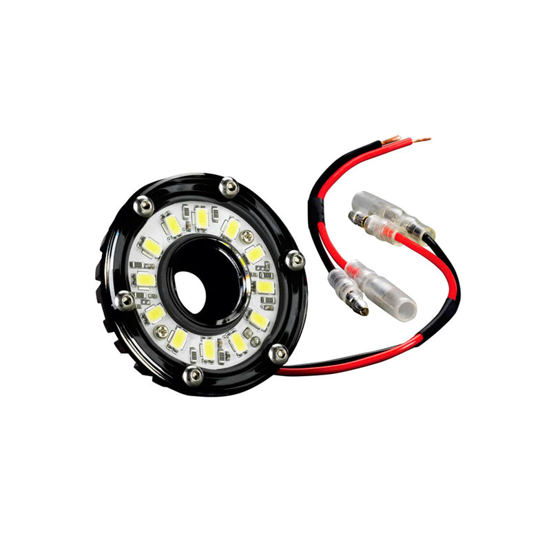 Cyclone LED - Single Light - Clear Lens - 5W Flood Beam