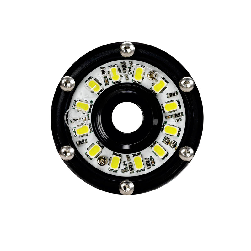 Cyclone LED - Single Light - Diffused Lens - 5W Flood Beam