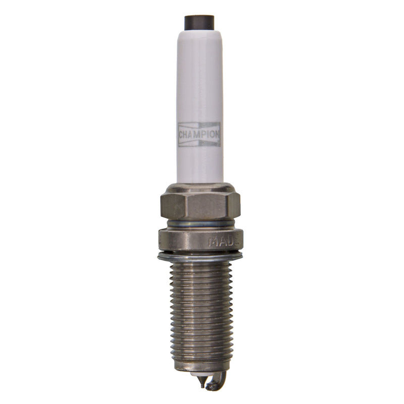 Champion Double Platinum - Boxed