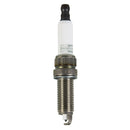 Champion Platinum Power - Boxed