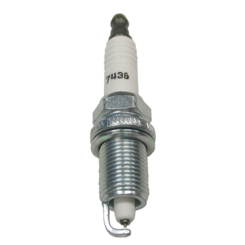 Champion Double Platinum - Boxed - RC10PLPB4