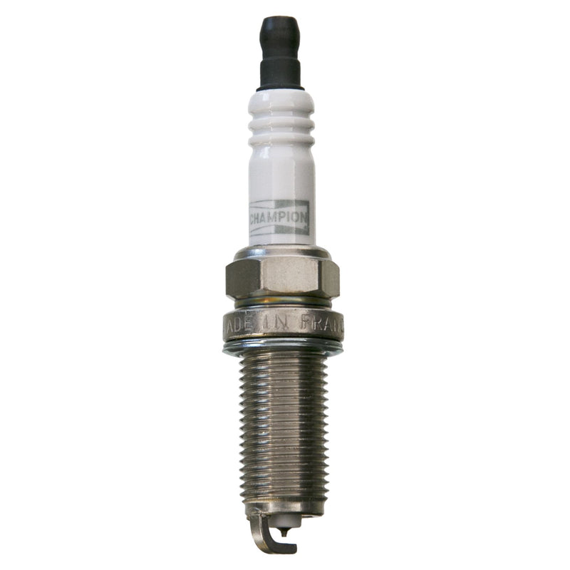 Champion Double Platinum - Boxed