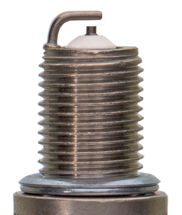 Champion Premium Small Engine- Carded