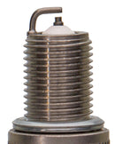 Champion Premium Small Engine- Carded