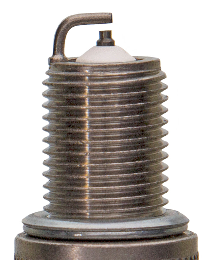 Champion Premium Small Engine- Carded