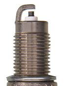 Champion Copper Plus- Boxed