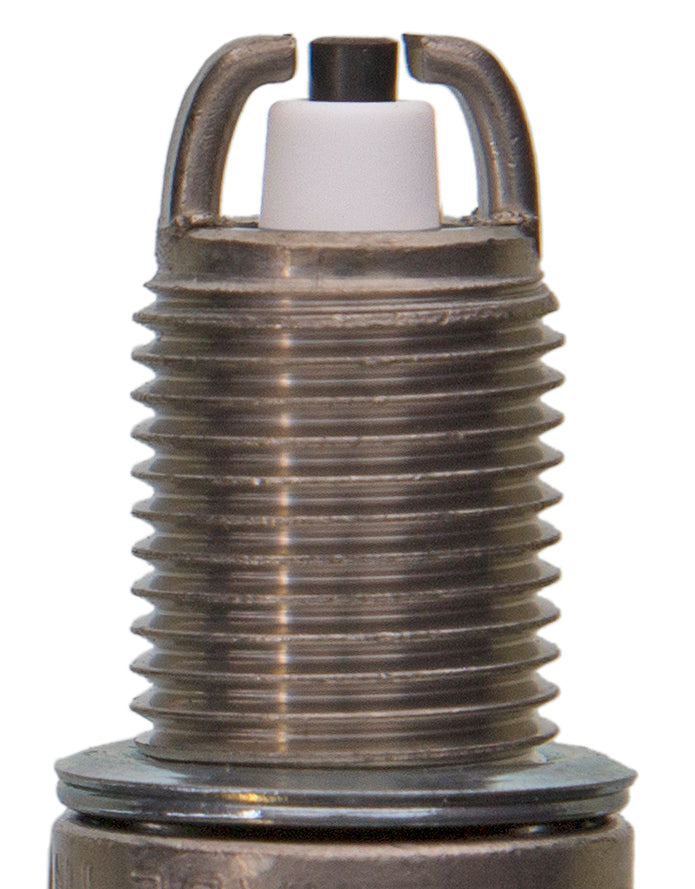 Champion Copper Plus- Boxed