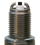 Champion Copper Plus- Boxed