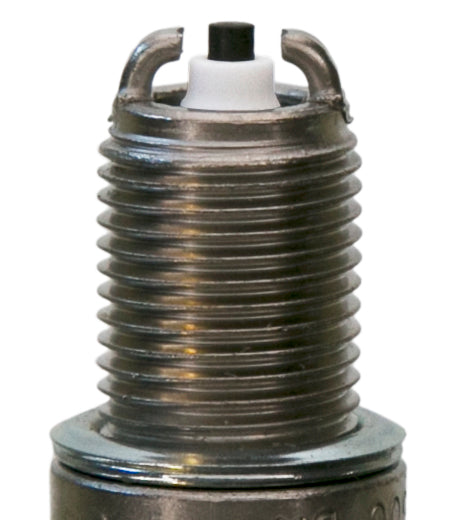 Champion Copper Plus- Boxed