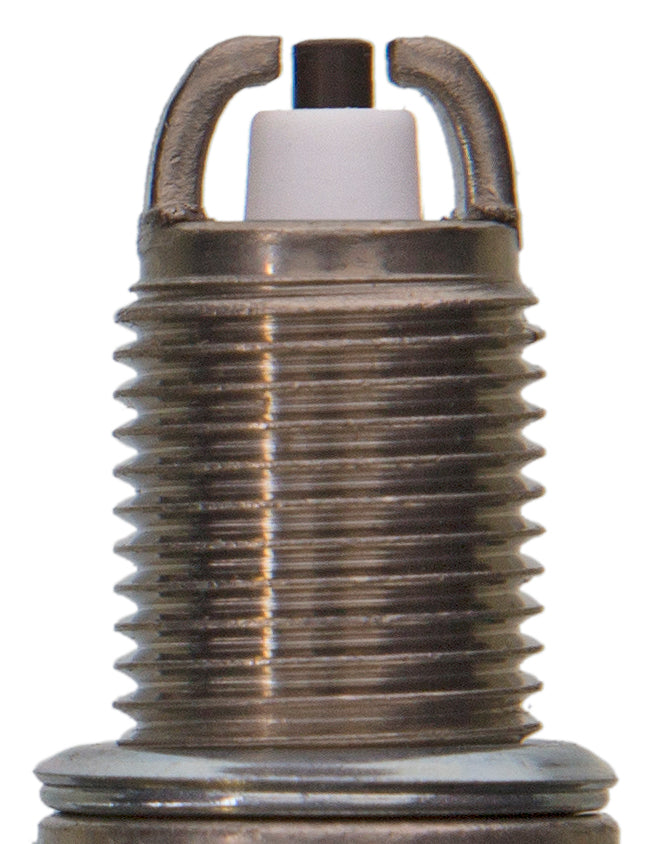 Champion Copper Plus- Boxed