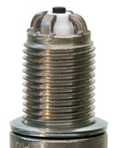 Champion Copper Plus- Boxed