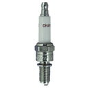 Champion Racing Plugs- Boxed - G53R