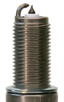 Champion Double Platinum - Boxed