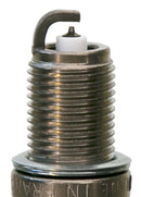 Champion Double Platinum - Boxed