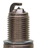 Champion Double Platinum - Boxed