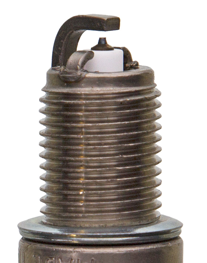 Champion Double Platinum - Boxed