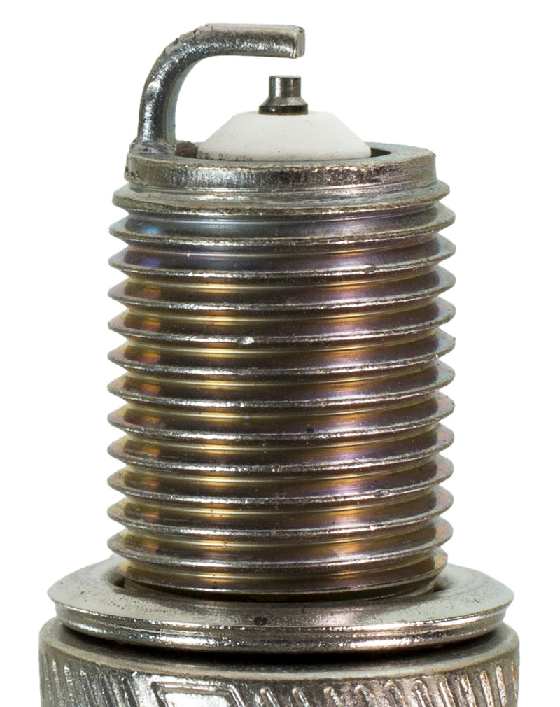 Champion Premium Small Engine- Carded