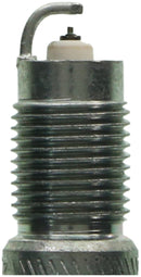 Champion Double Platinum - Boxed - RS10ZPYPB5