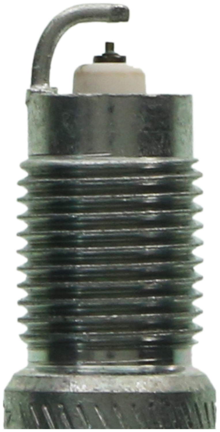 Champion Double Platinum - Boxed - RS10ZPYPB5