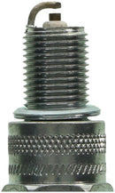 Champion Double Platinum - Boxed - RN14PYP