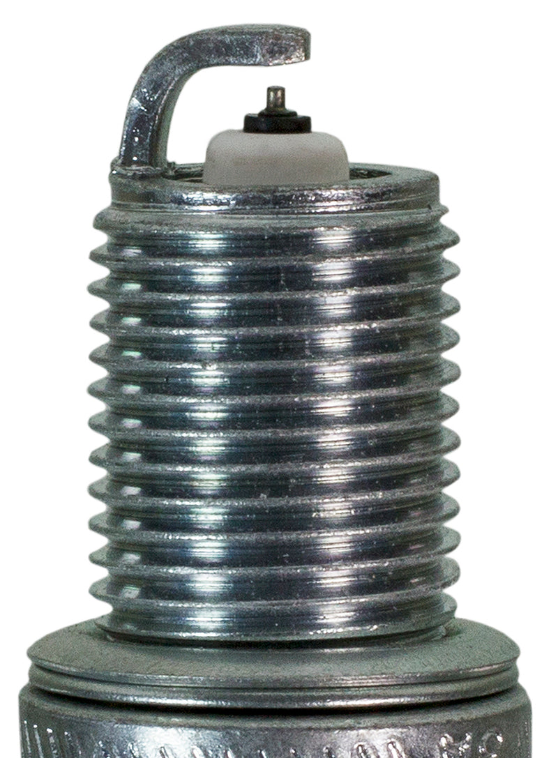 Champion Double Platinum - Boxed - RC8PYPB