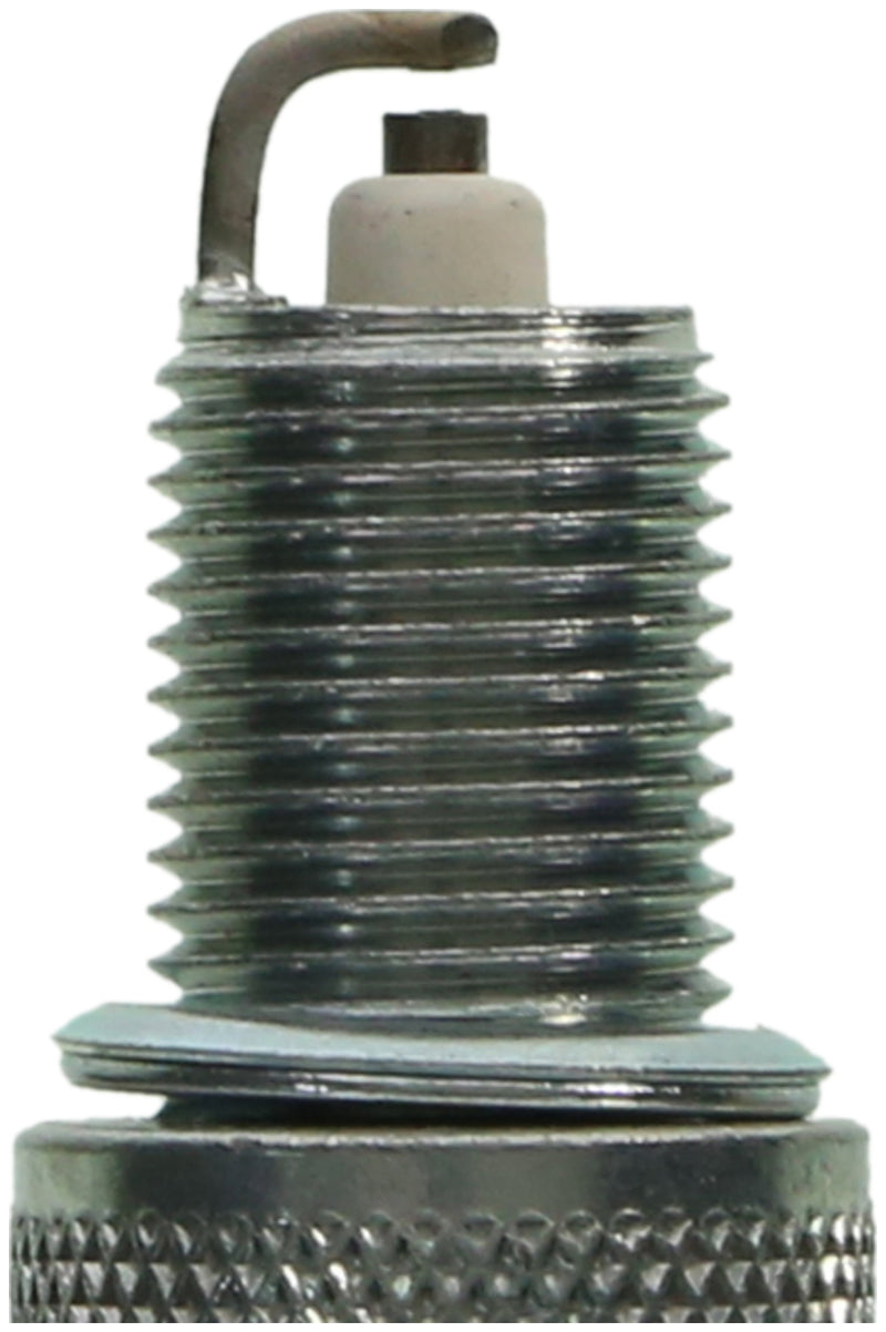 Champion Double Platinum - Boxed - RN14PMP