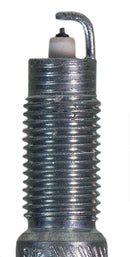 Champion Double Platinum - Boxed - RET9ZPMPB4