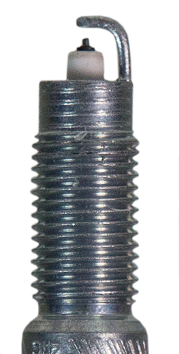 Champion Double Platinum - Boxed - RET9ZPMPB4