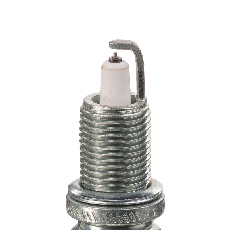 Champion Double Platinum - Boxed - RC12PEPB