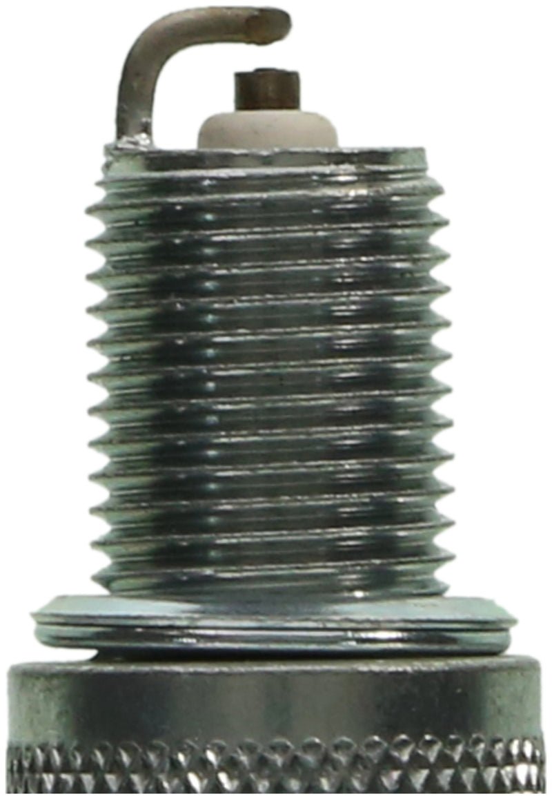 Champion Double Platinum - Boxed - RN9PYP