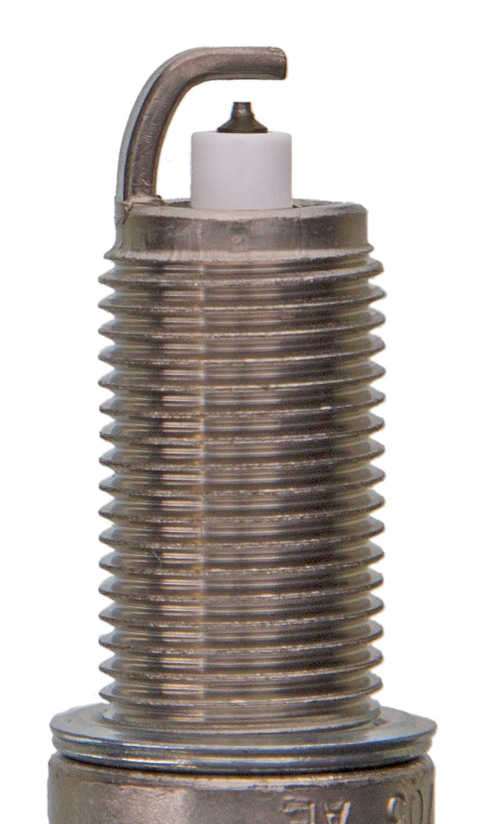 Champion Double Platinum - Boxed