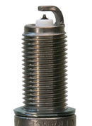 Champion Double Platinum - Boxed