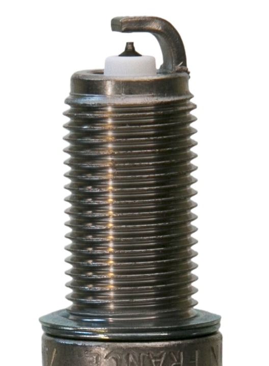 Champion Double Platinum - Boxed