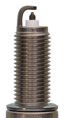 Champion Double Platinum - Boxed