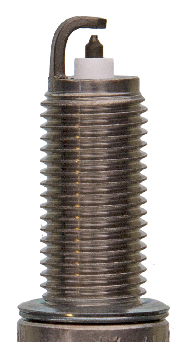 Champion Double Platinum - Boxed