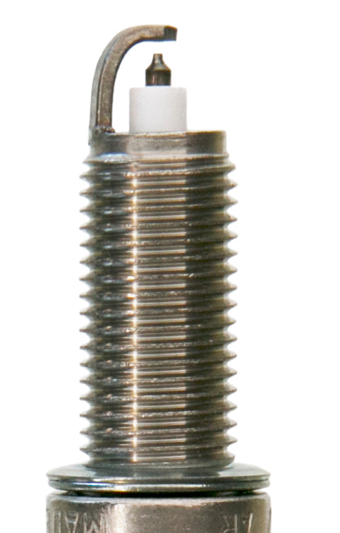 Champion Double Platinum - Boxed