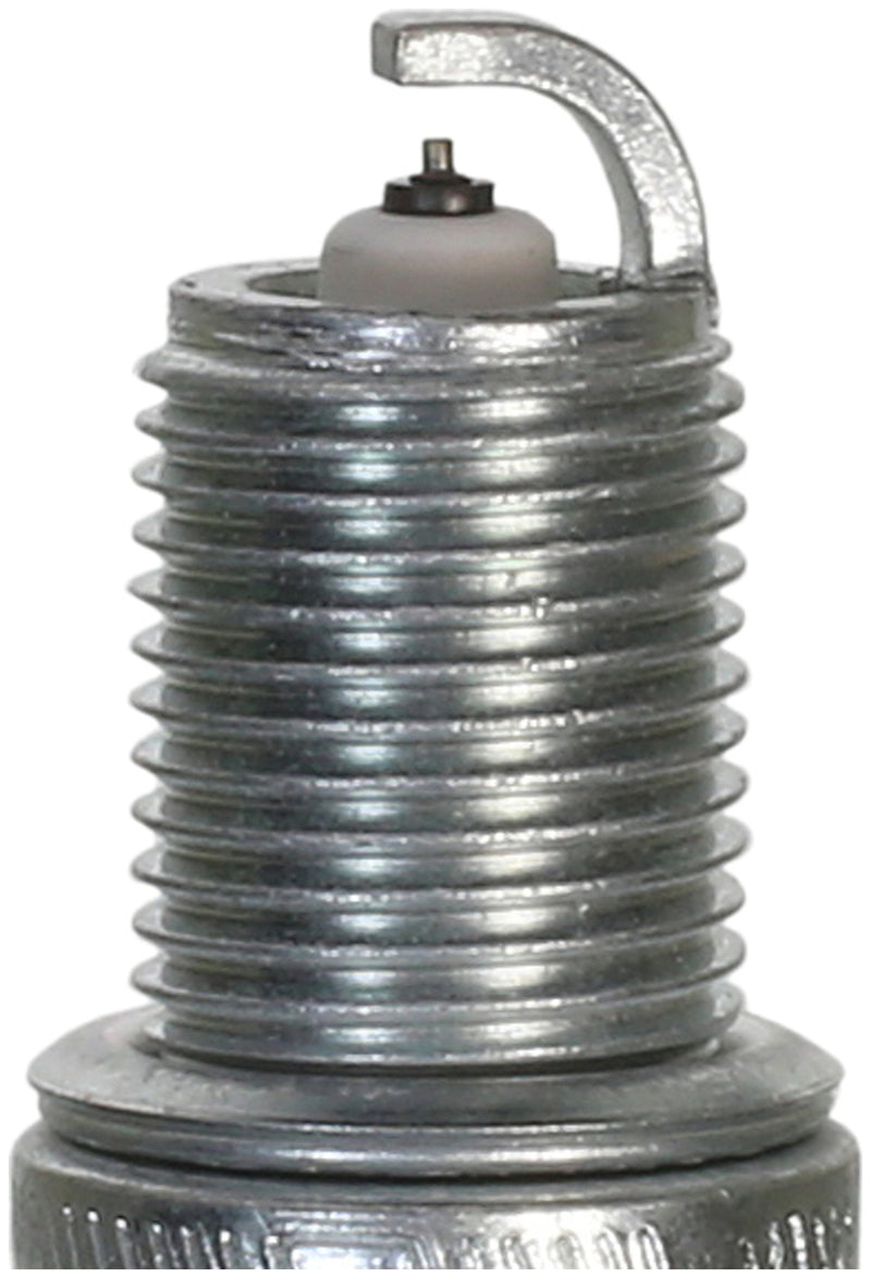 Champion Double Platinum - Boxed - KC10PYPB4