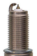 Champion Double Platinum - Boxed