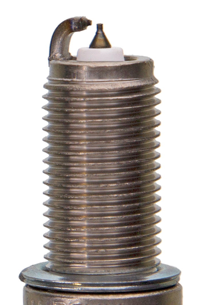 Champion Double Platinum - Boxed