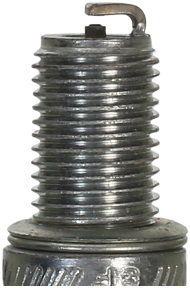 Champion Double Platinum - Boxed - RA59PP