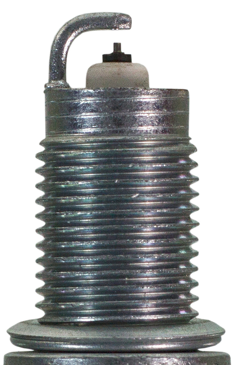 Champion Double Platinum - Boxed - RC8ZPYPB4