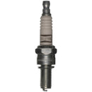 Champion PowerSport-Single Carded - 8698