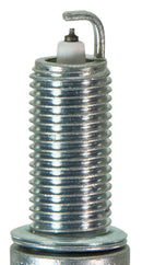 Champion Iridium- Boxed - REA9WYPB4