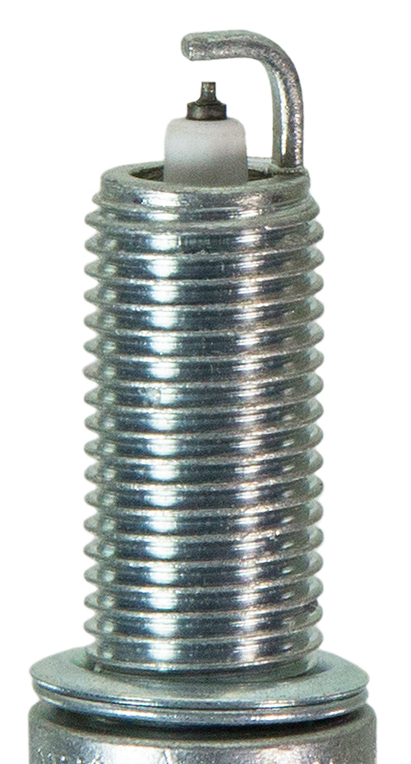 Champion Iridium- Boxed - REA9WYPB4