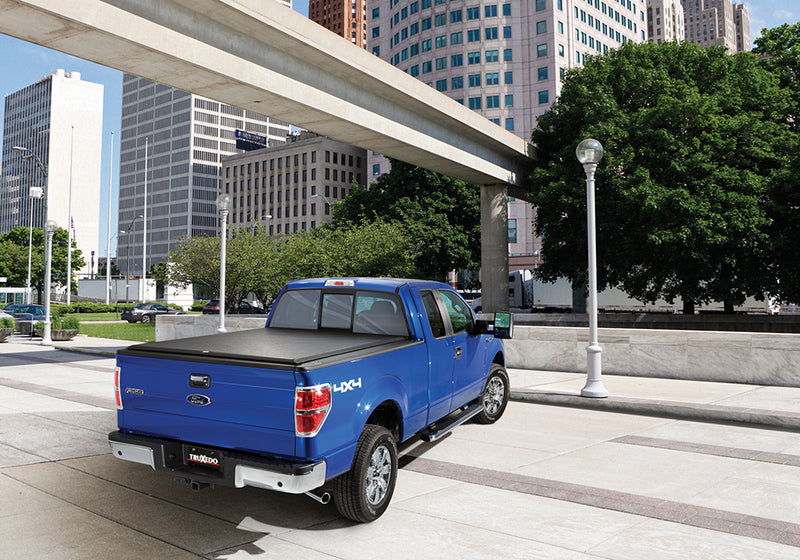 TruXedo EG 97-03 F150 6'6 SS 858101