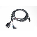 17-0024-00 SINGLE FST HRNS