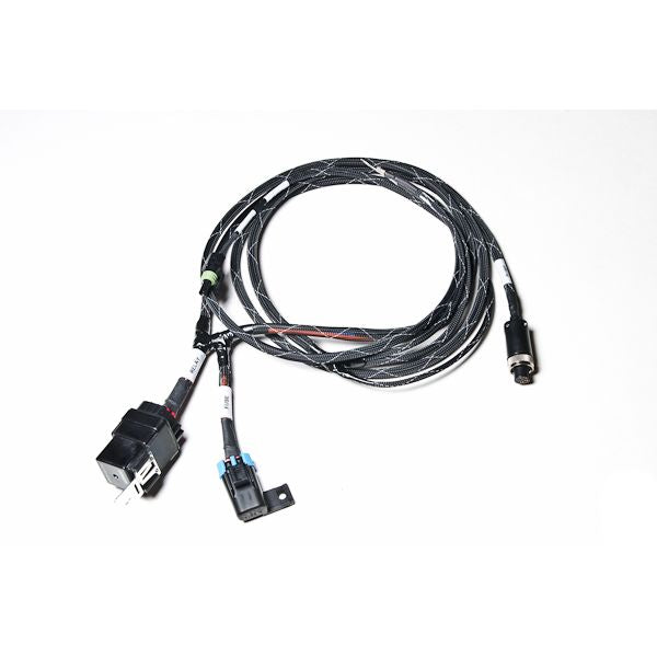 17-0024-00 SINGLE FST HRNS